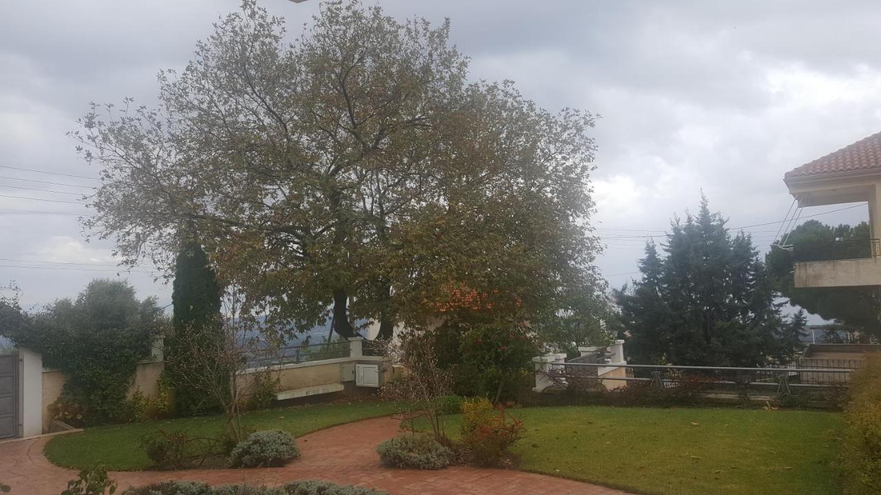 Guesthouse Michobeis Kamarína Dış mekan fotoğraf
