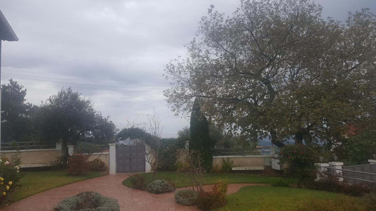Guesthouse Michobeis Kamarína Dış mekan fotoğraf