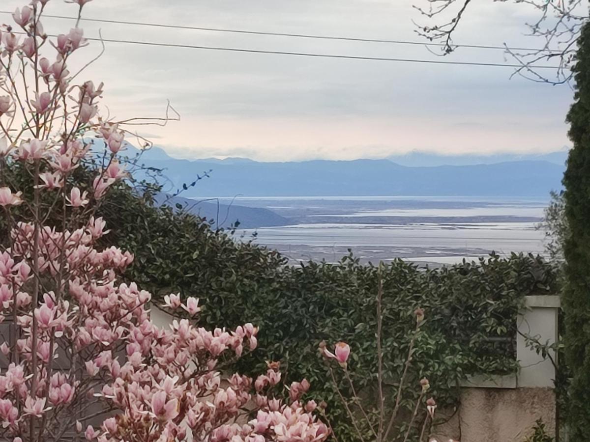 Guesthouse Michobeis Kamarína Dış mekan fotoğraf