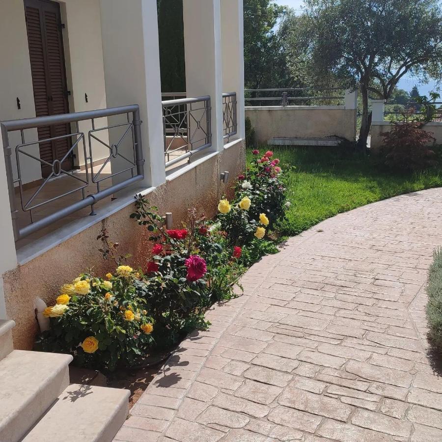 Guesthouse Michobeis Kamarína Dış mekan fotoğraf