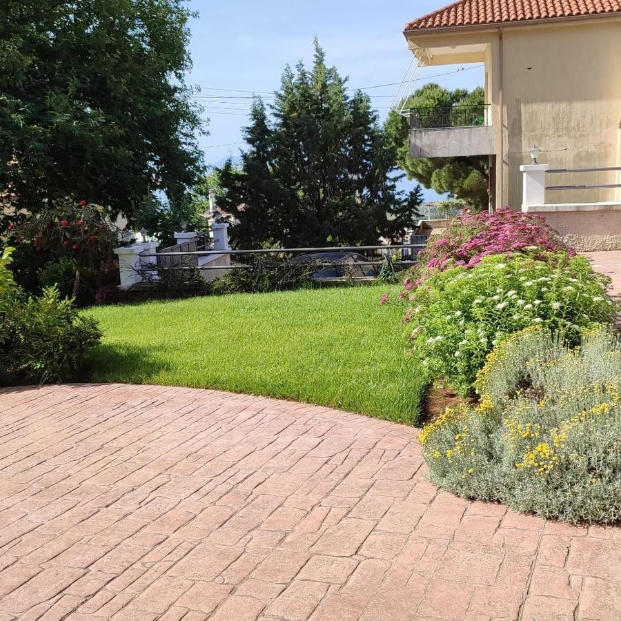 Guesthouse Michobeis Kamarína Dış mekan fotoğraf