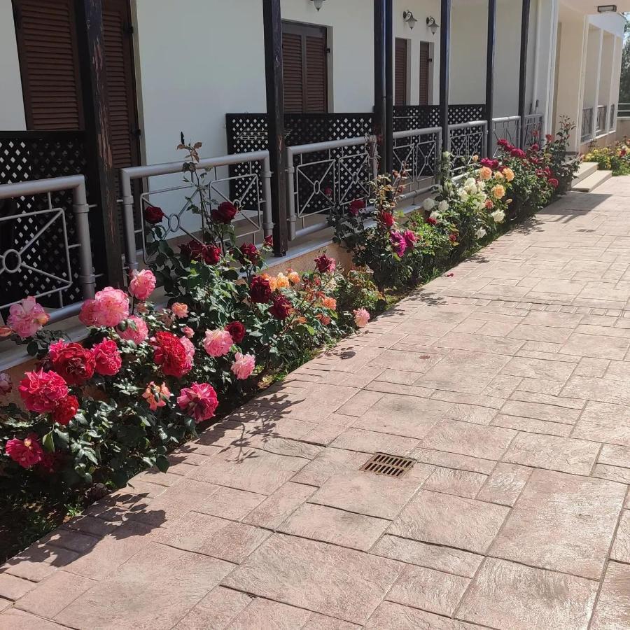 Guesthouse Michobeis Kamarína Dış mekan fotoğraf
