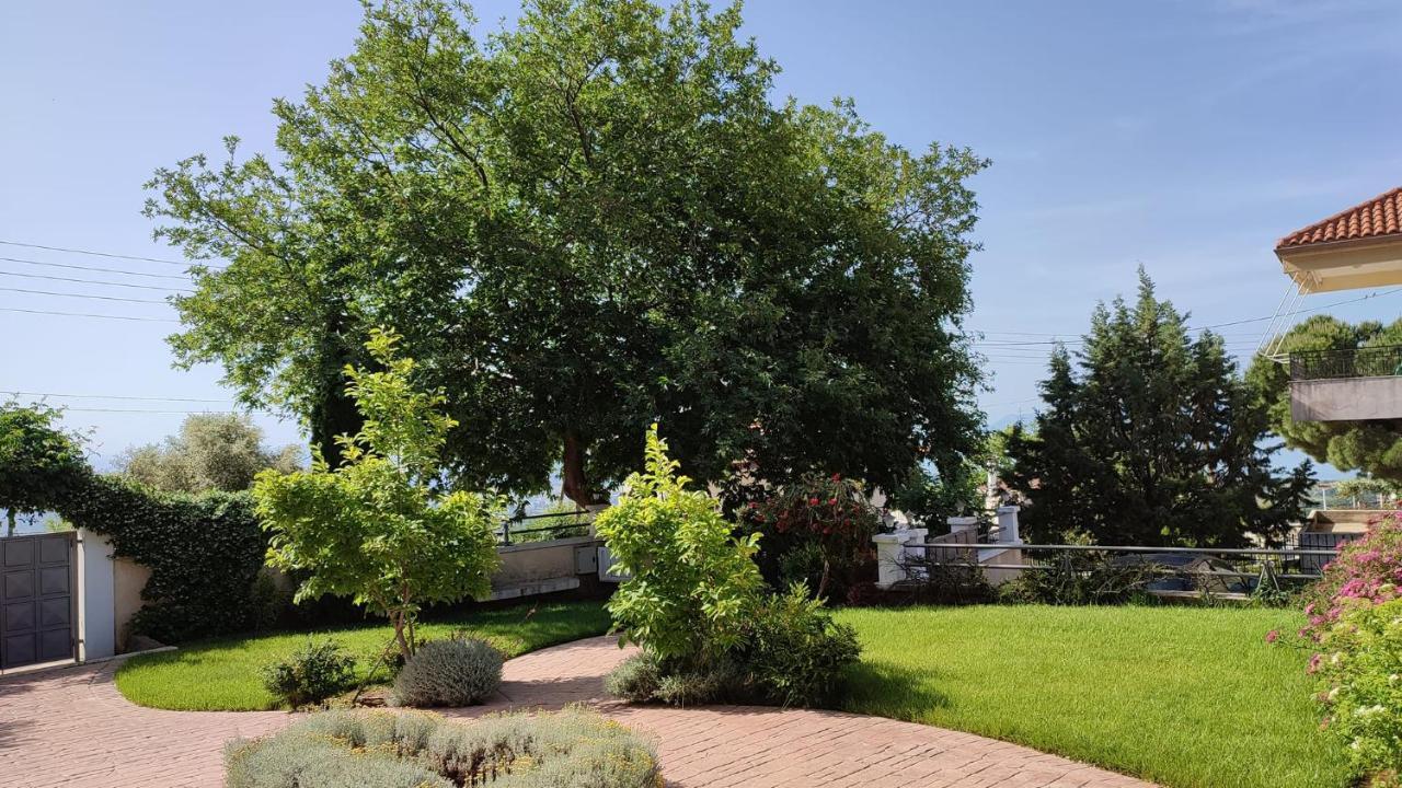 Guesthouse Michobeis Kamarína Dış mekan fotoğraf